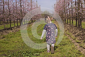 Little girl with flowered dress walking in the orchard