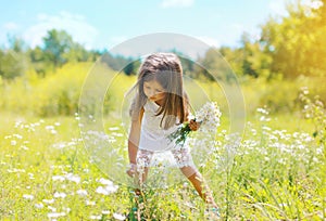 Little girl and flowers on the meadow