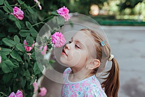 Little girl with flowers, portrait near a blooming rose bush, close-up, horizontal shot. summer time. Summer time