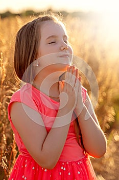 Little girl folded her hand and close your eyes in praying, dreaming in field outdoors. Child praying.