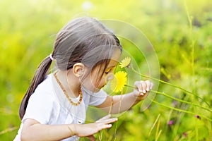 Little girl in the forest smells wonderful flowers