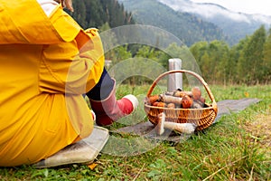 little girl with freshly picked Lactarius deliciosus mushrooms in wicker basket. Carpathian mountains in the background. Ukraine