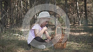 Little girl gather mushrooms in the forest on a sunny day. Mushrooms picking, season for mushrooms. Lovely girl with