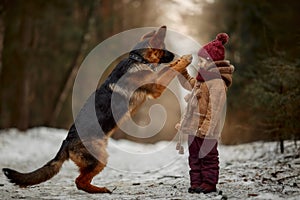 Little girl with German shepherd 6-th months puppy at early spring