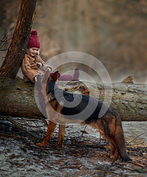 Little girl with German shepherd 6-th months puppy at early spring