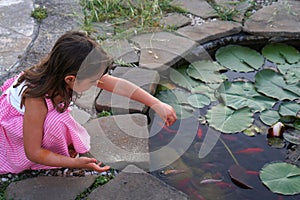 A little girl gives some food at small goldfish