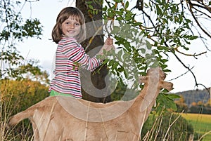 Little girl with goat on a pasture