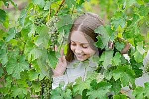 Little girl with grapes outdoors. Smiling happy kid eating ripe grapes on grapevine background. Child with harvest. Kid