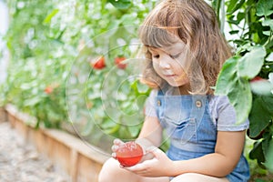 Little girl in the greenhouse with tomato plants