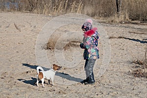 Little girl in hat and jacket in the winter plays on the beach on the sand with a Jack Russell