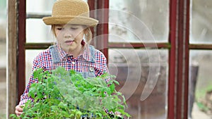 a little girl in a hat looks at the seedlings in the greenhouse.