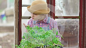 a little girl in a hat looks at the seedlings in the greenhouse.