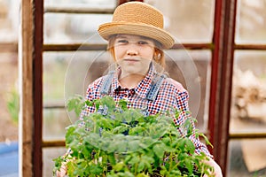 a little girl in a hat with the seedlings in the greenhouse.