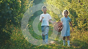 Little girl and her brother carry basket along beautiful nature. Boy is eating red apple. Slowmo. Slow motion. Copy