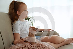 Little girl with her Chihuahua puppy indoors. Baby animal