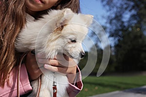 Little girl with her cute dog in park, closeup. Autumn walk