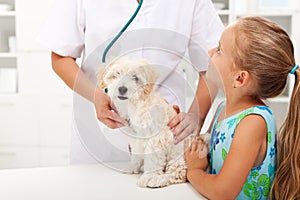 Little girl and her fluffy pet at the vet