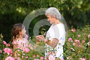 Little girl with her grandmother near rose bushes