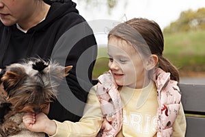 Little girl and her mother playing with a Yorkshire Terrier in the park