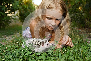 Little girl with her pet African pygmy hedgehog