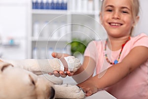 Little girl with her puppy dog at the veterinary doctor office