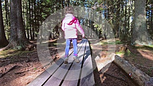 Little girl hiking on footbridge through woods