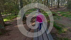 Little girl hiking on footbridge through woods