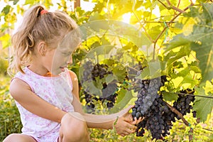 Little girl holding bunch of grapes, sunset background