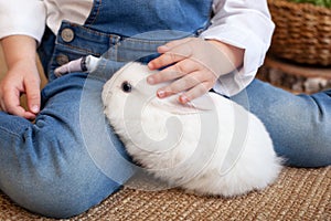 Little girl holding cute fluffy rabbit, closeup. Adorable fluffy white bunny in hands child. Cute pet rabbit being cuddled by his