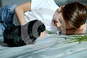 Little girl holding and feeding black guinea pig, domestic animal