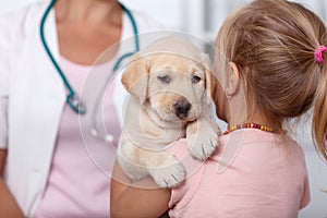 Little girl holding her puppy at the veterinary healthcare clinic