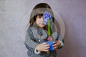 Little Girl holding hyacinth in flower pot. A beautiful little girl with blue hyacinth