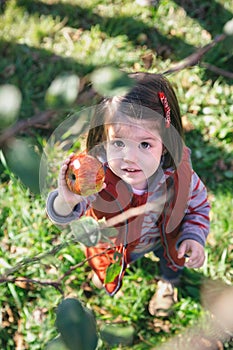 Little girl holding organic apple in her hand