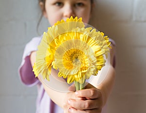 Little girl holding out yellow gerberas