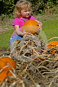 Little Girl Holding Pumpkin