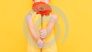Little girl holding red flower in front of her in front of her in front of yellow background