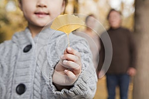 Little girl holding yellow gingko leaf, close-up
