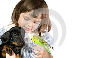 Little girl holds Parrot and dog