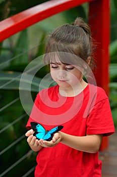 Little girl holds a Ulysses Swallowtail