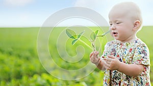little girl holds young soybean sprout. Glycine max, soybean, soya bean sprout growing soybeans on scale. Agricultural soy