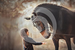 Poco un cavallo sul primavera 