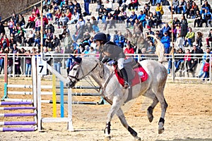 Little girl horseback rider