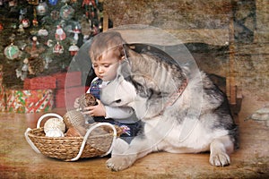 Little girl in the house and Malamute