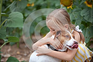 Little girl hugging Jack Russell Terrier dog in nature. Kid and dog friendship. A special bond between the kid and its dog