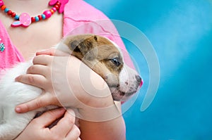 Little girl hugging a puppy jack russel terrier breed. She`s holding the dog on her hands.