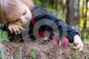 A little girl intently touches lumps of soil, plays and learns the world, lying on the grass in a park or garden. The