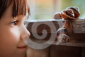 Little girl intently watching small snail crawling along wooden bench while spending time in nature