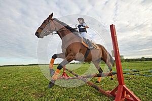 Little girl jockey and her chestnut horse jumper