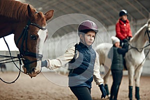 Little girl, kid in helmet holding horse and walking on special arena. Horseback riding course, training for children