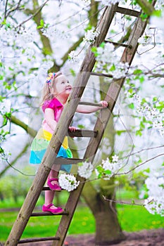 Little girl on a ladder in apple tree garden